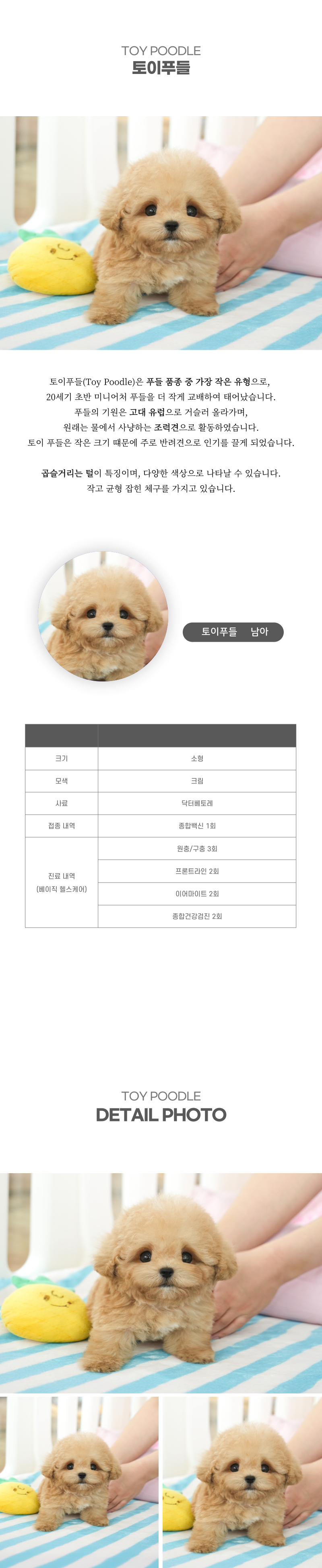 토이푸들_상세이미지_2